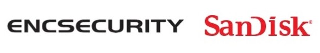 Development Support for Data-Encryption Company